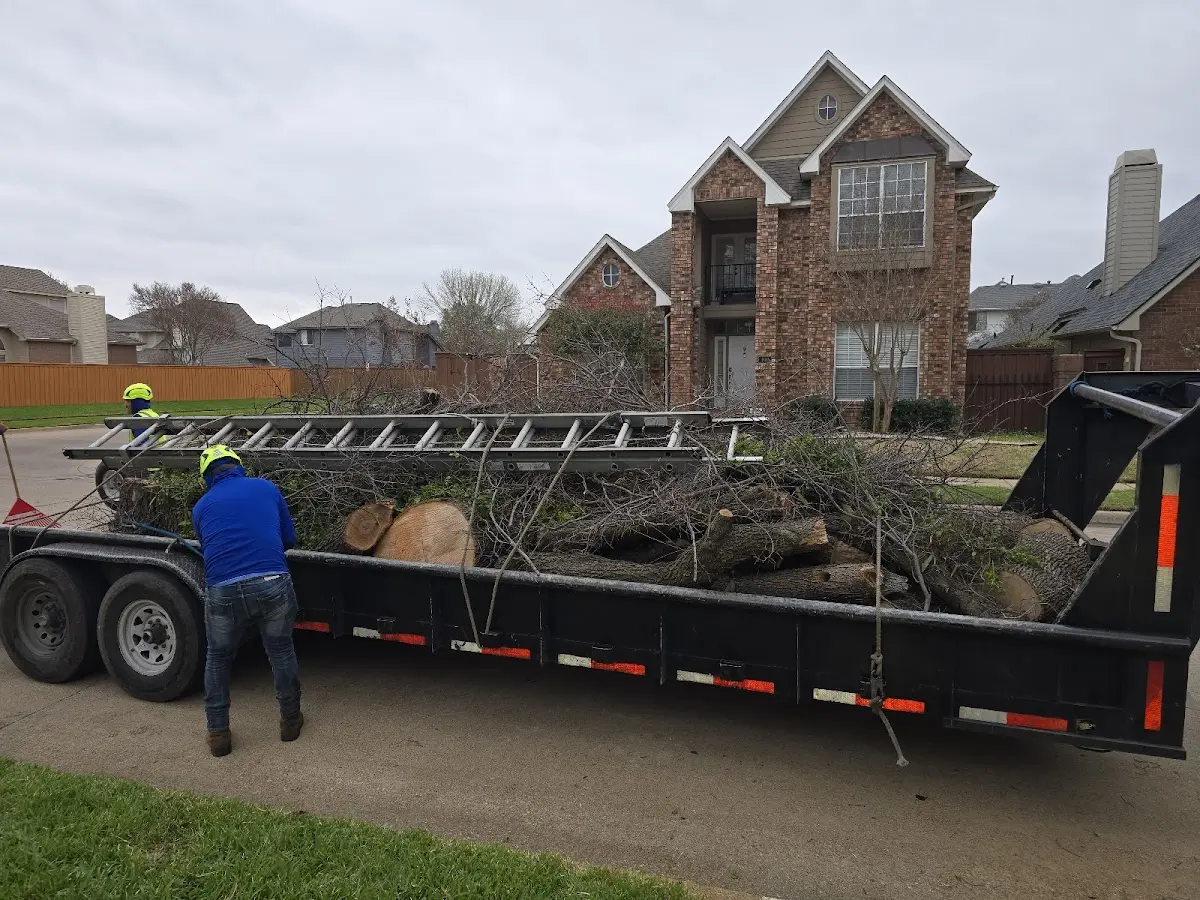 Expert Lot Clearing with proper safety equipment in Greendale